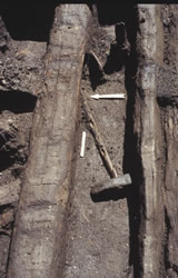 Hache-marteau en bois de cervidé avec son manche (Bronze Moyen). Cliché ArScAn - Protohistoire égéenne